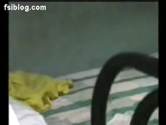 انڈیا نیو سیکسی ہندی شو انڈین کٹر