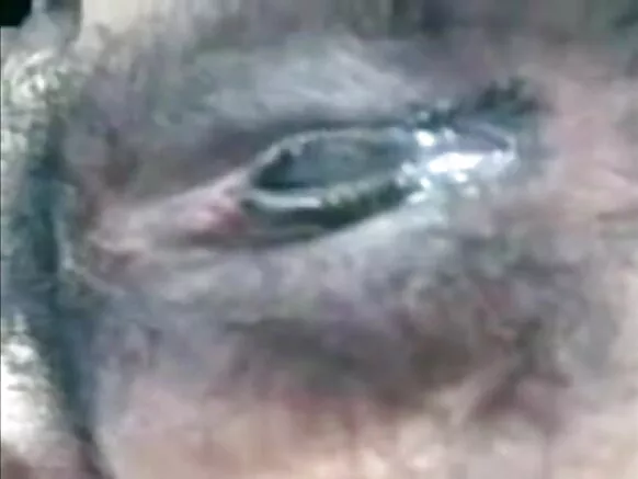 بنگلہ دیش ایشوریا رائے کی سیکسی فلم بھابھی سیلفی موبائل اپنے شوہر P2 کے لیے