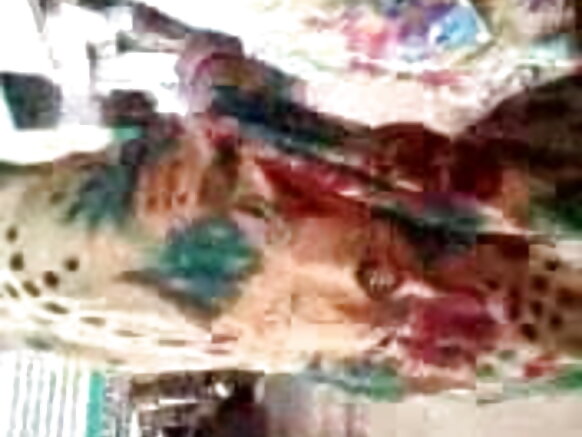 سیاح