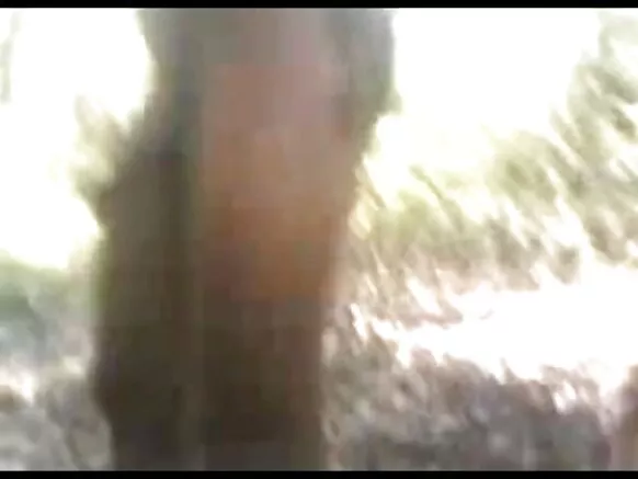 لڑکی اور دوست دیسی بی پی سیکس فوٹو میں پکڑے گئے۔