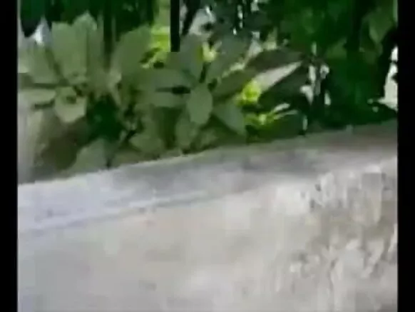 جینس میں دیسی انڈین لڑکی کرسی پر چدائی hindi sexy image movie