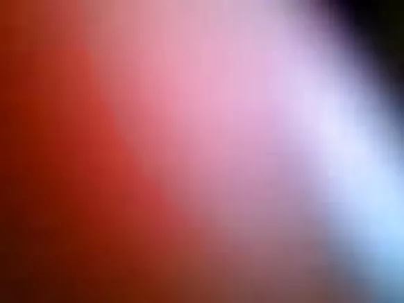 نیپالی