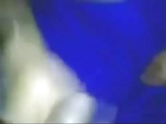 indian indian sexy funny movie بیوی