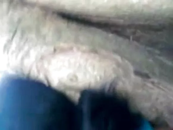 آنٹی انڈیا آنٹی انڈیا 1335 ہیروئن سیکسی فلم