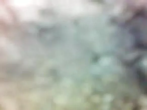 hidden animals sexy movie video باتھ روم پوشیدہ باتھ روم